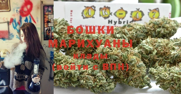 дурь Алзамай
