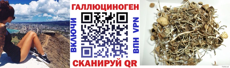 наркотики  omg   Галлюциногенные грибы Psilocybe  Томск 